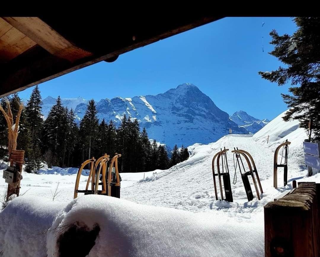 Ferienwohnung Talhaus Lauterbrunnen Buitenkant foto